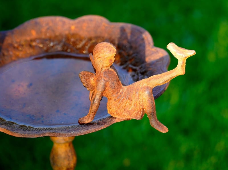 Mermaid's Seashore Garden